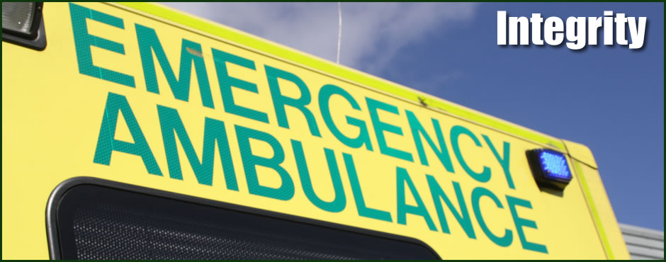 Paramedics In Action